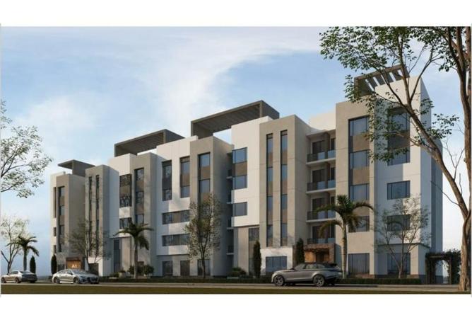 66969583 - Property Image 3