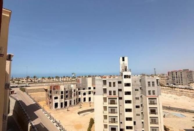 75390059 - Property Image 3