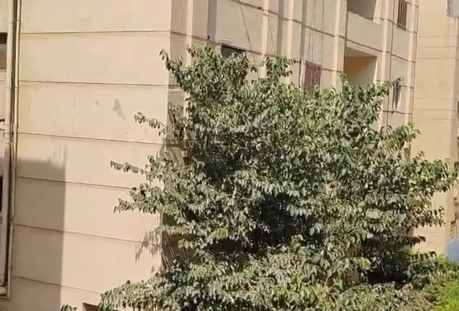 101487749 - صورة العقار 2