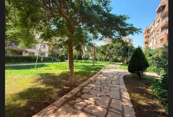 117024398 - Property Image 2