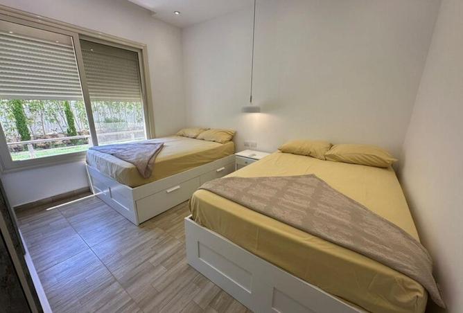 63146740 - Property Image 3