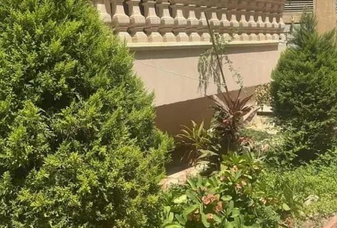 63142120 - صورة العقار 3