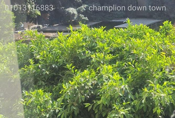 8606511 - صورة العقار 2