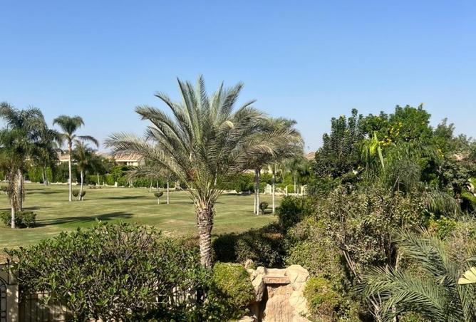 8401628 - الصورة الرئيسية للعقار