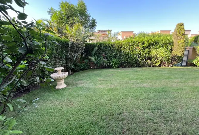 116739787 - صورة العقار 3