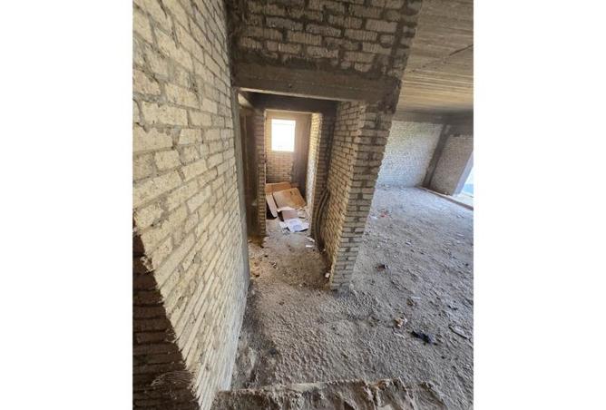 66176911 - صورة العقار 3