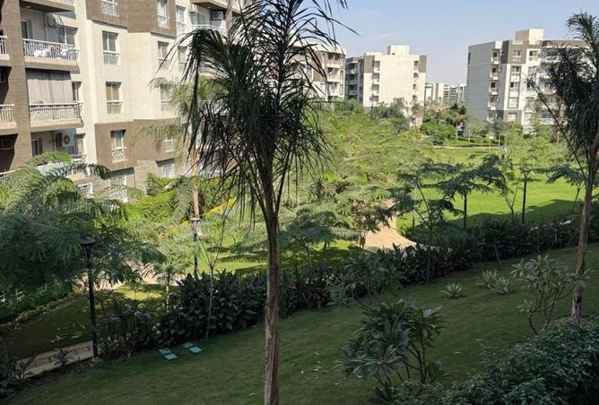 8669174 - Property Image 3