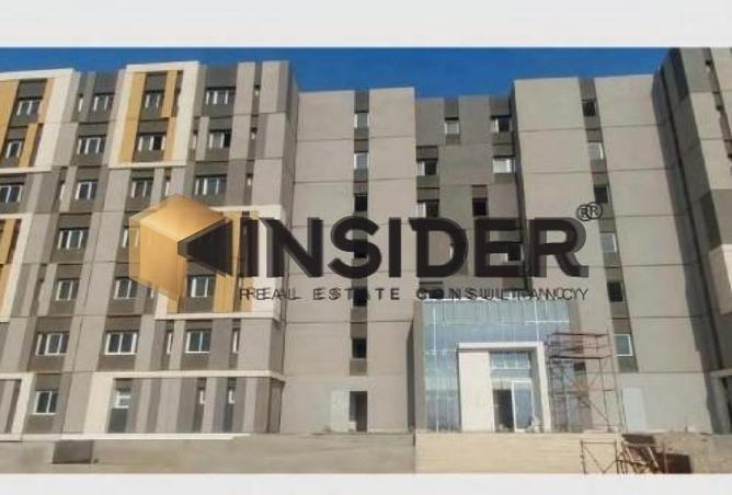 8589199 - Property Image 3