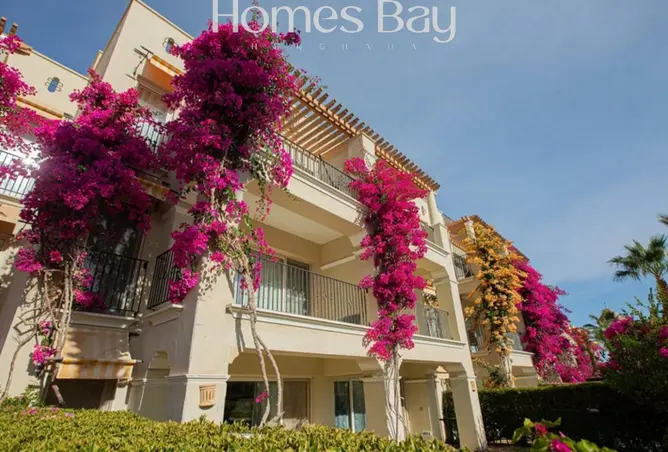104884497 - Property Image 2