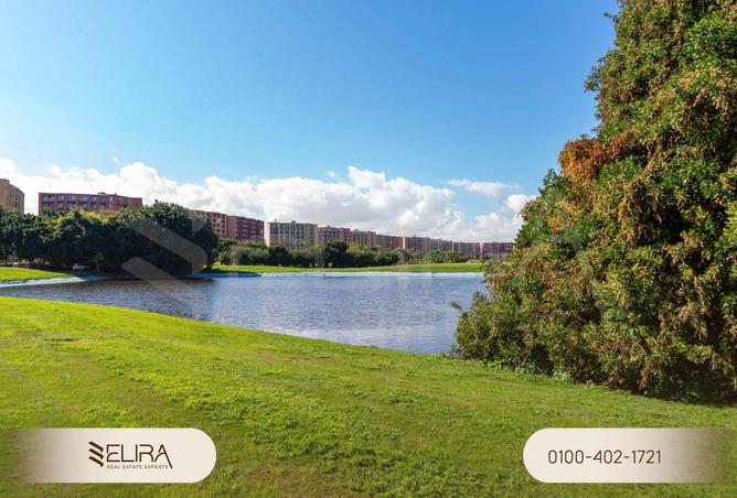 63388471 - صورة العقار 3