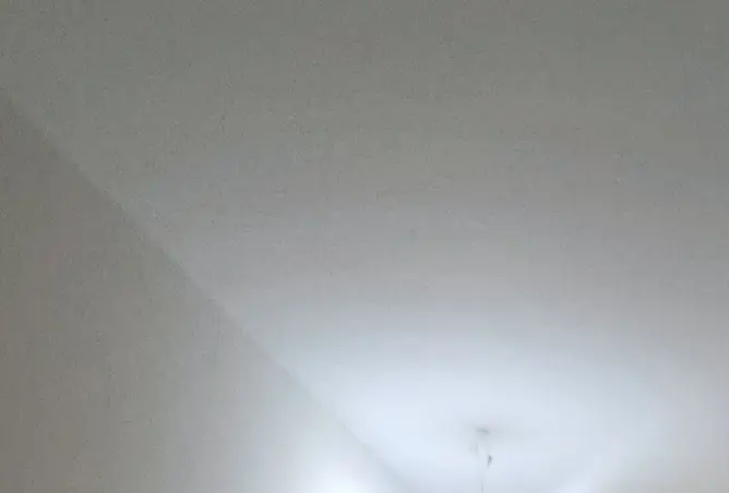 97136071 - Property Image 2