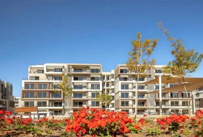 8558389 - Property Image 3