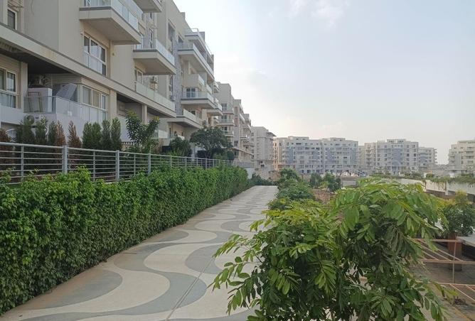 64895761 - صورة العقار 2