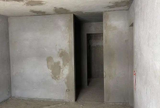 116488997 - Property Image 3
