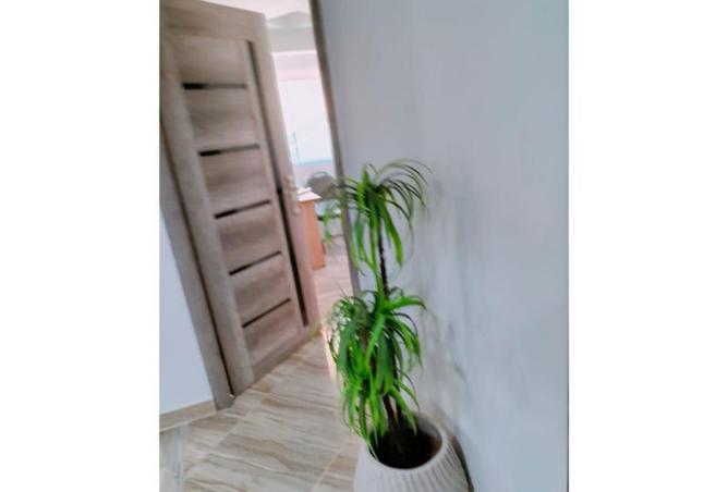 8442143 - صورة العقار 3