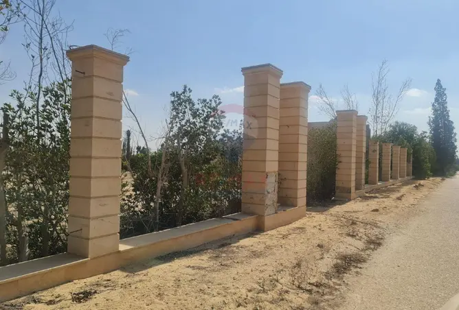 79987170 - صورة العقار 2