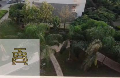 Apartment - 2 Bedrooms - 1 Bathroom for rent in B10 - Madinaty - Cairo