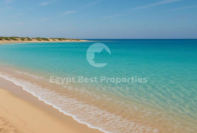 100925546 - صورة العقار 2