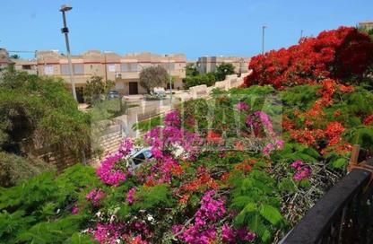 Villa - 6 - 4 for sale in Lotus - Al Alamein - North Coast