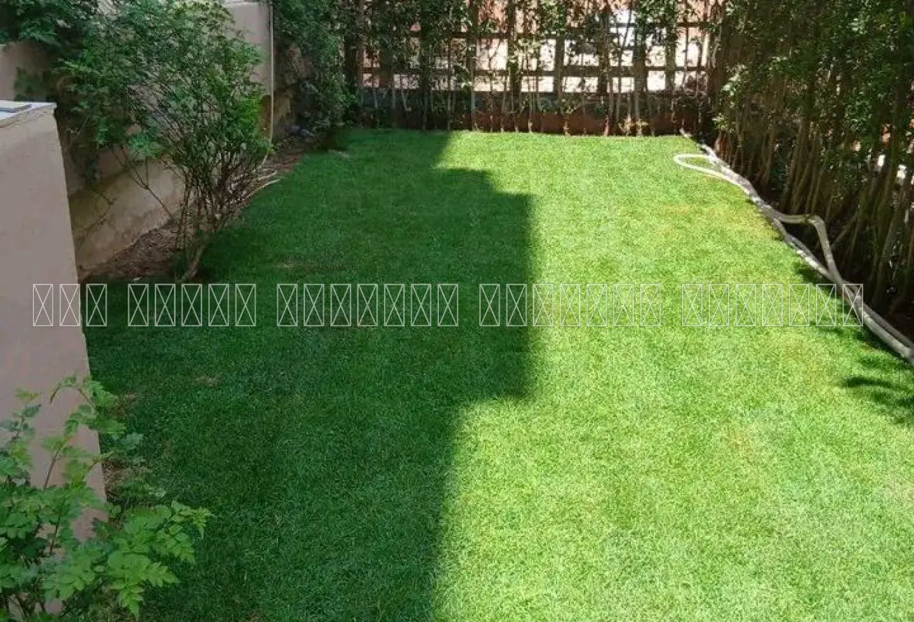 101195970 - Property Main Image