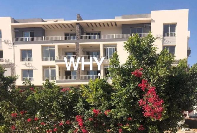 67216491 - صورة العقار 3