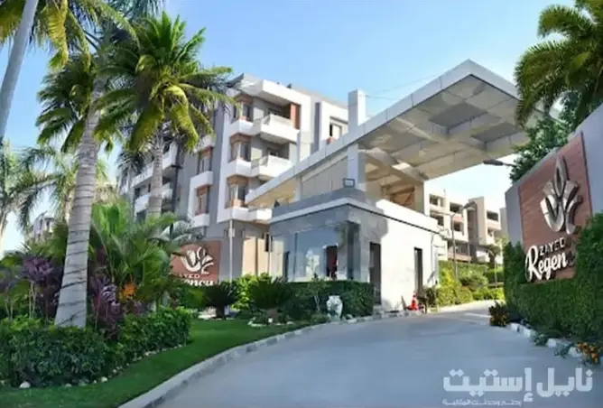 111581491 - Property Image 3