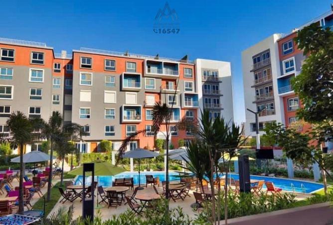 58997513 - Property Image 3