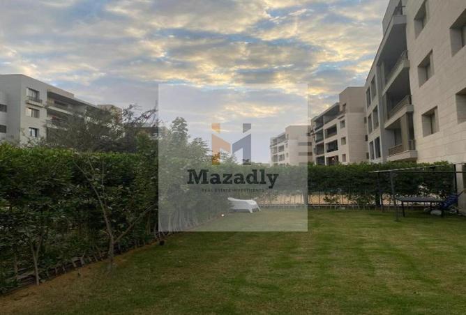 52975956 - صورة العقار 3