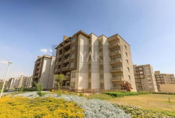 56246749 - صورة العقار 3