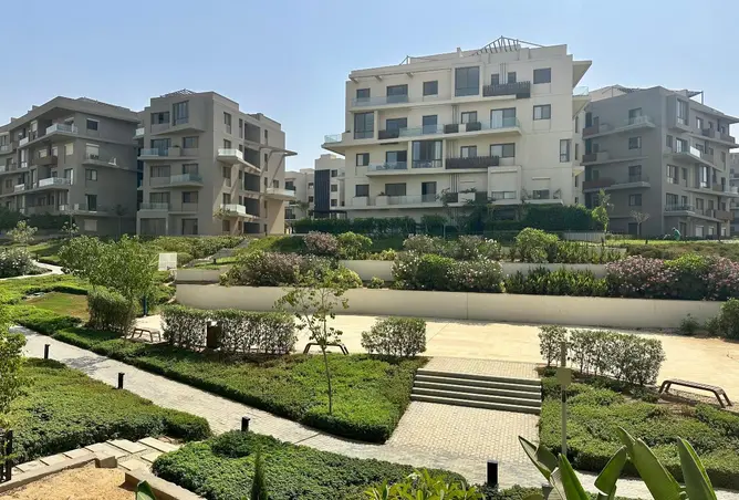 113529435 - Property Image 2