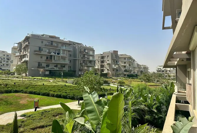 113529435 - Property Image 3