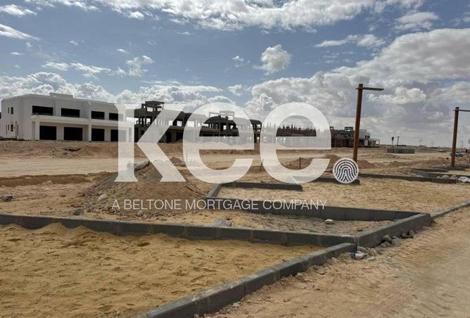 97999566 - Property Image 3