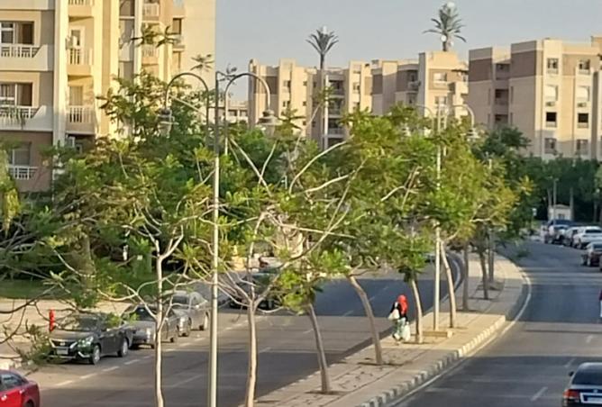 8513691 - الصورة الرئيسية للعقار