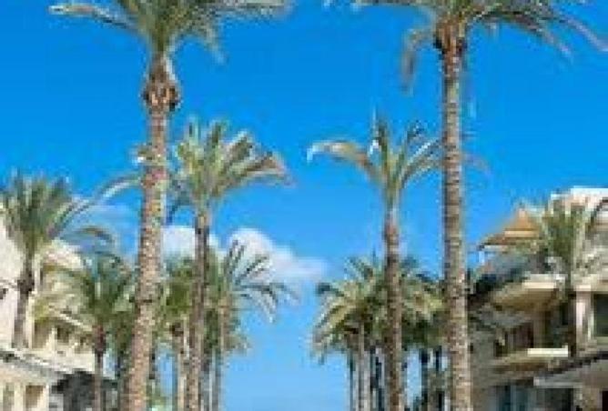 63397604 - Property Image 2