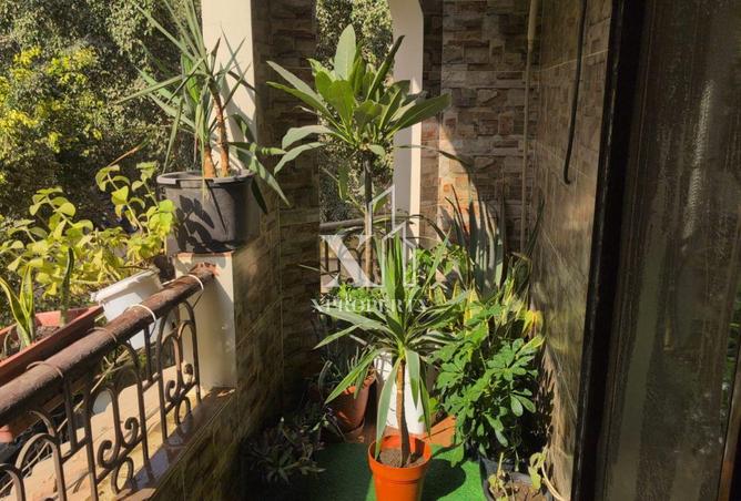 63142681 - الصورة الرئيسية للعقار