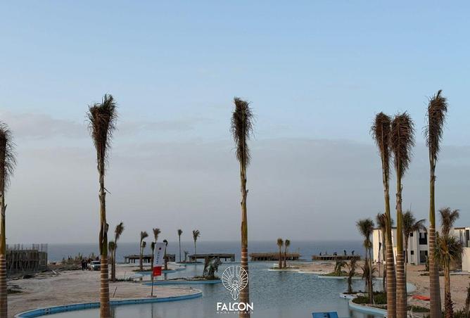 97998106 - صورة العقار 3