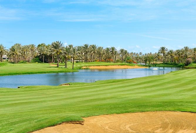 8691958 - صورة العقار 2