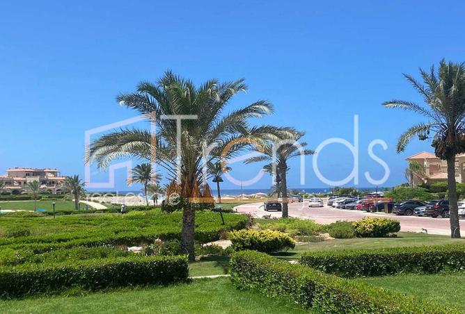 58987595 - صورة العقار 2