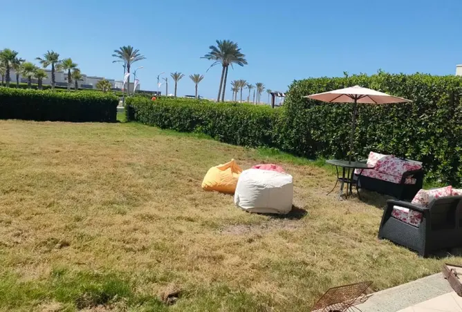117268930 - صورة العقار 3