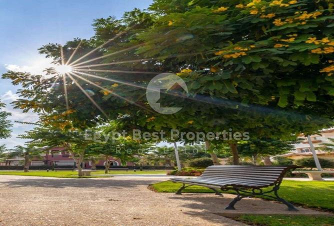 54236532 - Property Image 3