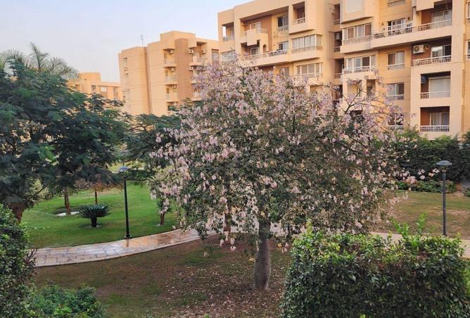 82097550 - Property Image 3
