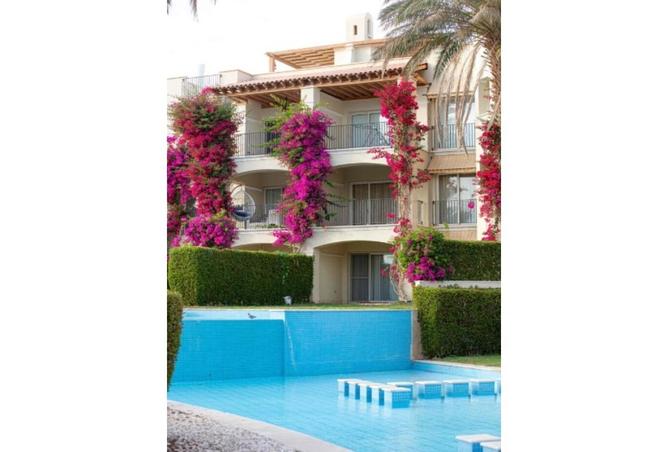 54241238 - Property Image 3