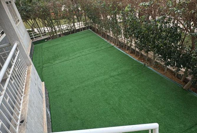 62171229 - صورة العقار 3