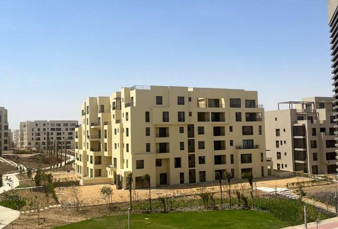 74310517 - صورة العقار 3