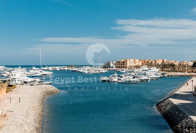 99118081 - صورة العقار 3