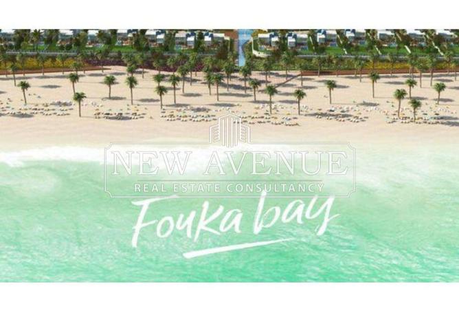 64638581 - صورة العقار 3