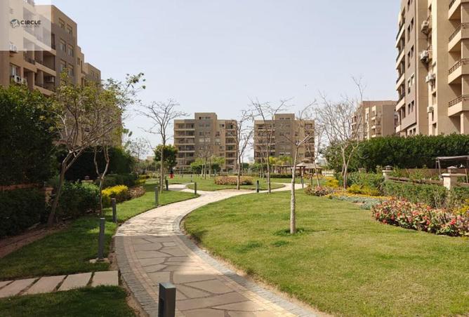 70623042 - صورة العقار 2