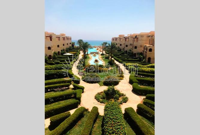 66966946 - صورة العقار 2