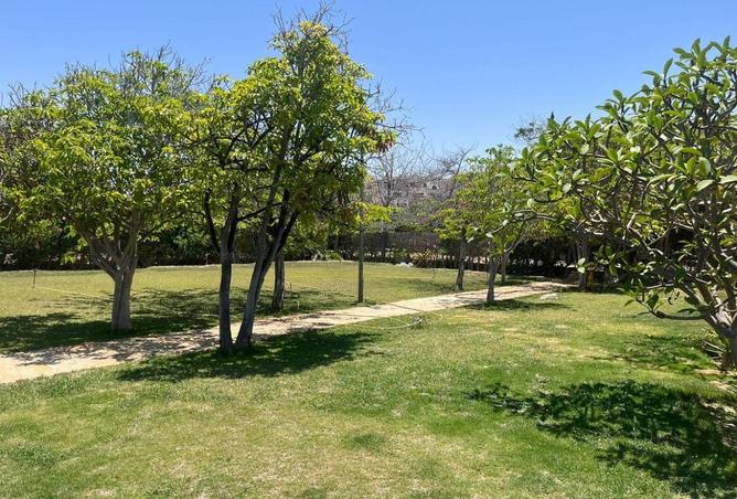 80270823 - Property Main Image