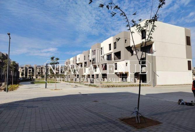 64645175 - صورة العقار 3